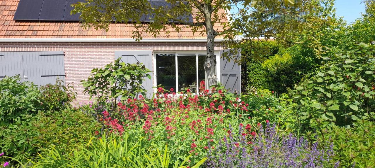 Het Sonnehuys Leilighet Nieuwland  Eksteriør bilde